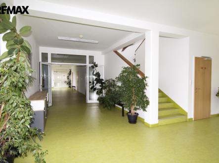 Pronájem kanceláře, 24 m²