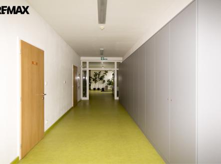 Pronájem kanceláře, 24 m²