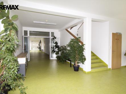 Pronájem kanceláře, 24 m²