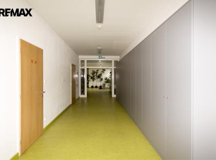 Pronájem kanceláře, 24 m²