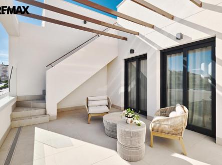 Orchid Casel de Paradise.