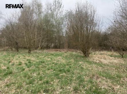 Prodej pozemku pro bydlení, 1 115 m²