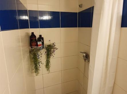 Pronájem bytu, 1+kk, 24 m²