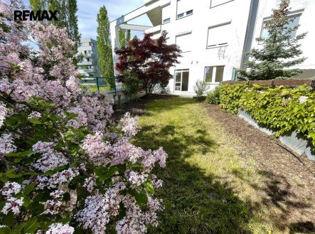 Pronájem bytu, 2+kk, 49 m²