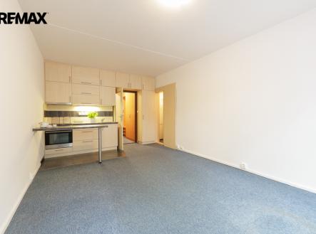 Prodej bytu, 1+kk, 29 m²