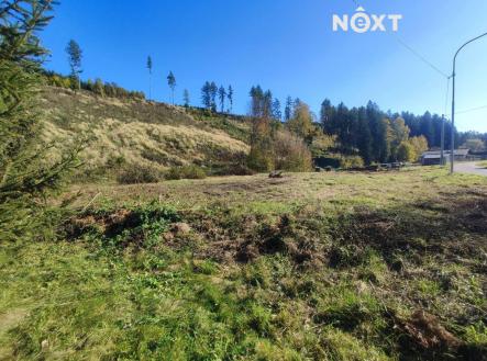 Prodej pozemku, ostatní, 2 666 m²