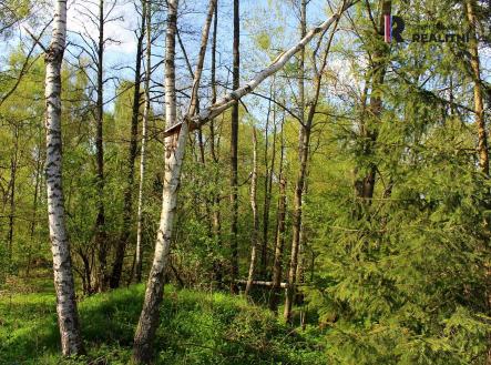 Prodej pozemku, ostatní, 3 000 m²