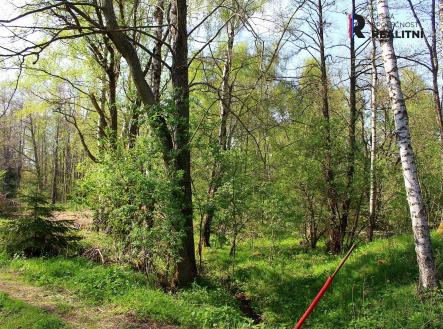 Prodej pozemku, ostatní, 3 000 m²