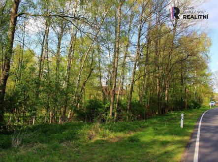 Prodej pozemku, ostatní, 3 000 m² obrázek