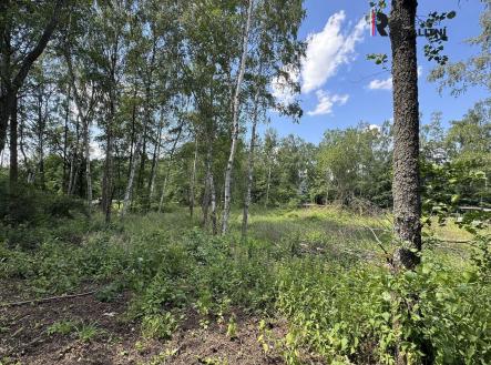 Prodej pozemku, ostatní, 3 000 m² obrázek