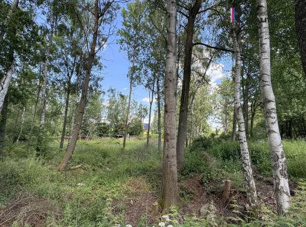 Prodej pozemku, ostatní, 3 000 m²
