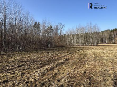 Prodej pozemku, trvalý travní porost, 5 750 m²