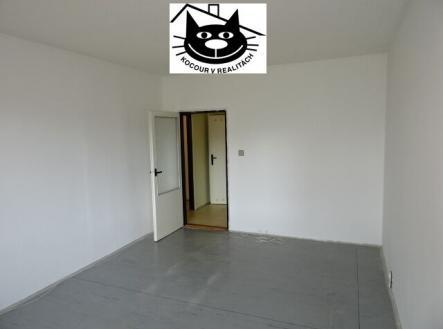 pohled na dům