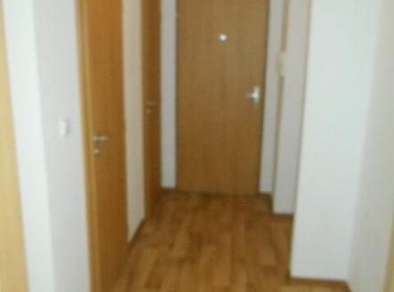 předsíň
