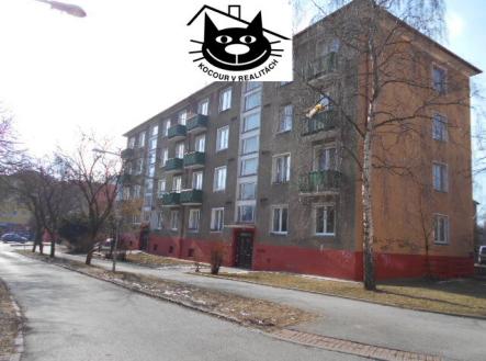 pohled na dům