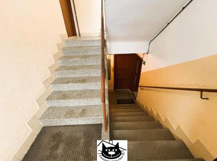 udržované spol. prostory