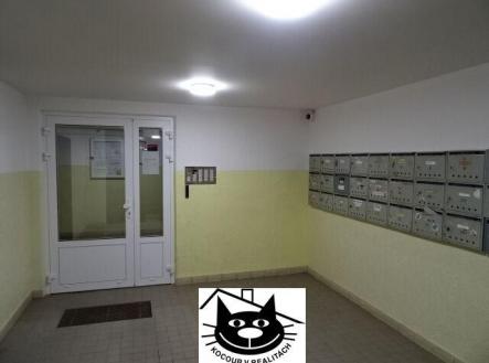 spol. prostory