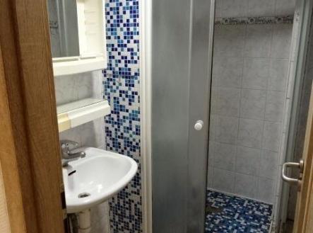 Pronájem bytu, 2+1, 48 m²