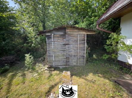 kolnička