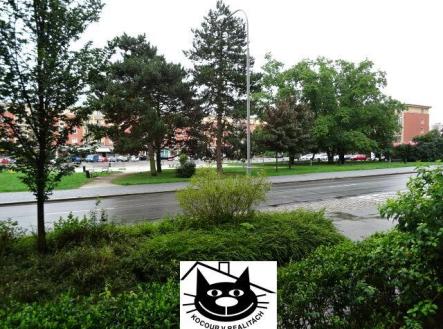 pohled z bytu