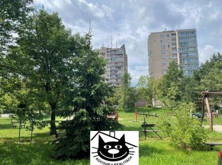 zeleň před domem
