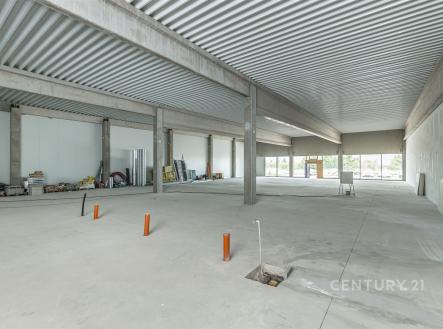 Pronájem obchodní prostor, 253 m²