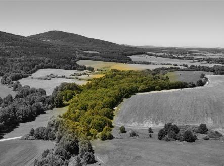 Prodej pozemku, les, 29 772 m²