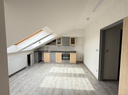 Pronájem bytu, 1+kk, 54 m²