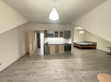 Pronájem bytu, 1+kk, 50 m²