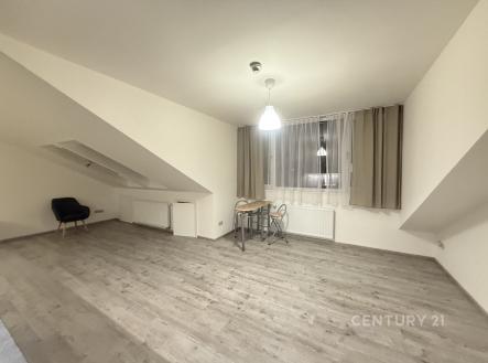Pronájem bytu, 1+kk, 50 m²