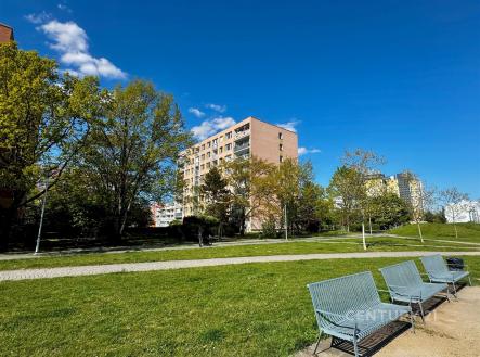 Prodej bytu, 3+kk, 61 m² obrázek