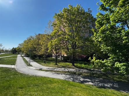 Prodej bytu, 3+kk, 61 m²
