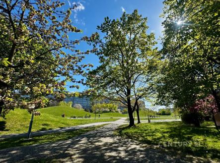 Prodej bytu, 3+kk, 61 m²