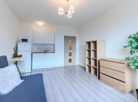 Prodej bytu, 1+kk, 26 m²