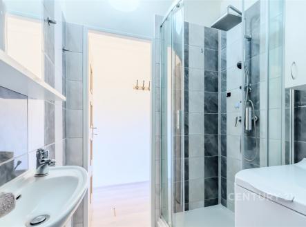 Sprchový kout v koupelně s WC