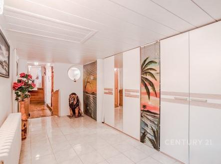 Prodej domu/vily, 315 m²