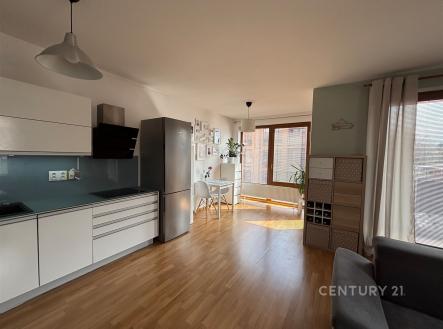 Pronájem bytu, 2+kk, 56 m²