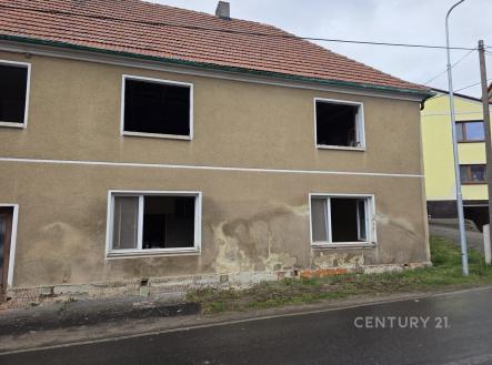 Prodej domu/vily, 350 m²