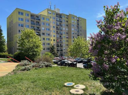 Pronájem bytu, 3+kk, 65 m²
