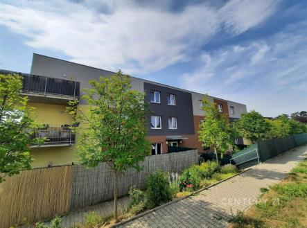 Pronájem bytu, 1+1, 68 m²