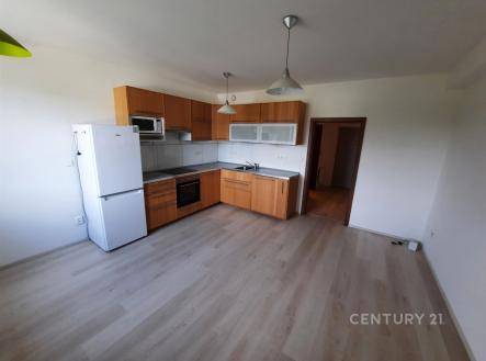 Pronájem bytu, 1+1, 68 m²