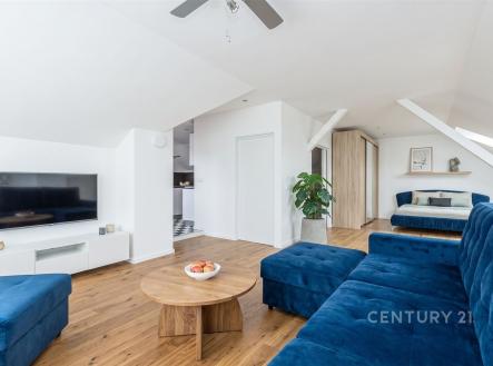 Prodej domu/vily, 315 m²