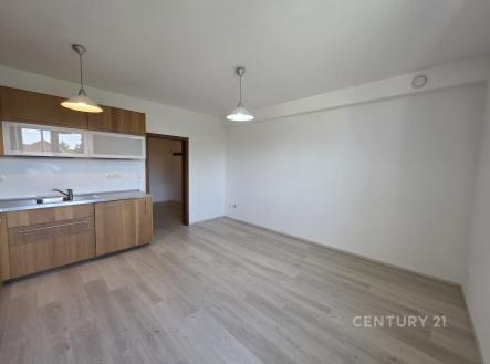 Pronájem bytu, 2+kk, 67 m²