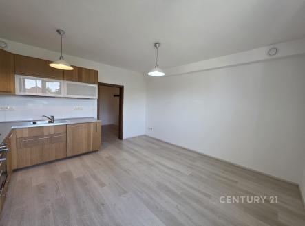 Pronájem bytu, 2+kk, 67 m²