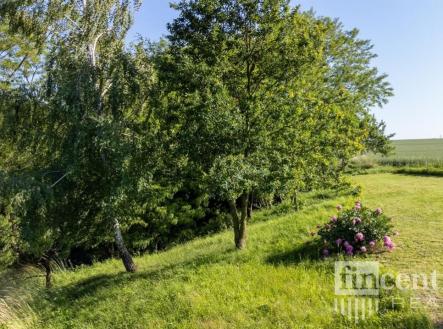 Prodej pozemku pro bydlení, 4 996 m²