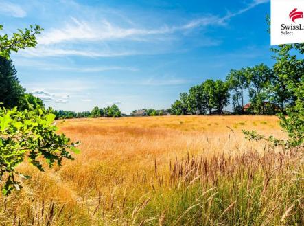 Prodej - pozemek pro komerční výstavbu, 11 001 m²