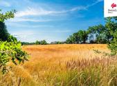 Prodej pozemku pro komerční výstavbu, 11 001 m²