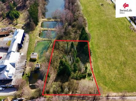 Prodej pozemku, les, 4 442 m²