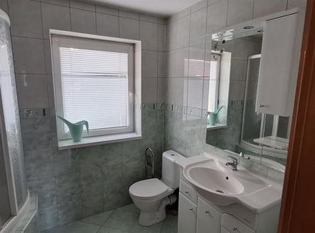 Prodej domu/vily, 168 m²