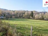 Prodej pozemku, trvalý travní porost, 5 616 m²